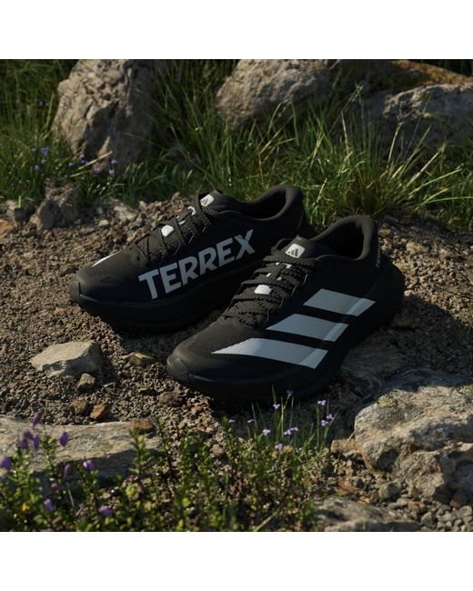 Adidas Black Terrex Agravic Sl Trail Running Shoes