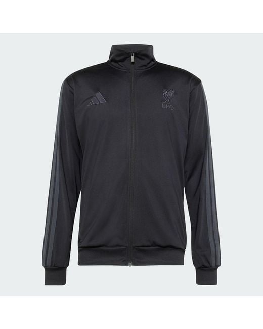 Adidas Black Liverpool Fc Dna Track Top for men