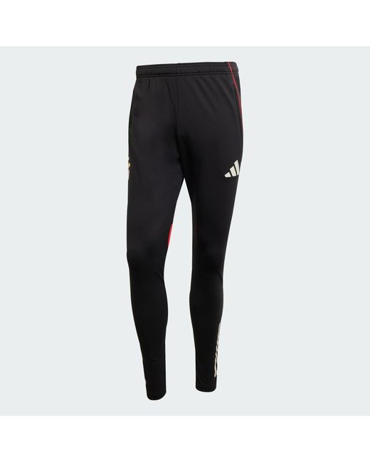 Adidas Gray Benfica Tiro 25 Competition Training Pants for men