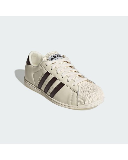 Adidas Multicolor Superstar Lo Pro Shoes