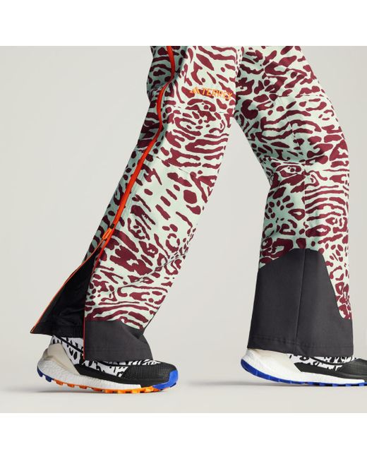 Adidas Blue Terrex Free Hiker Gore-Tex Shoes