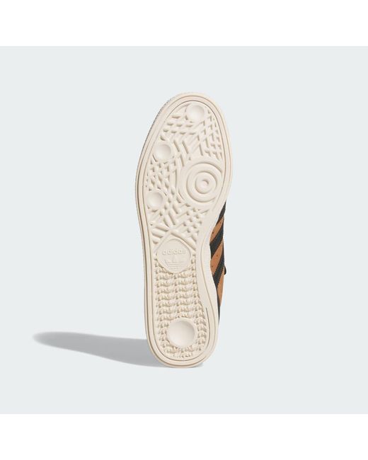 Adidas Brown Busenitz Shoes for men