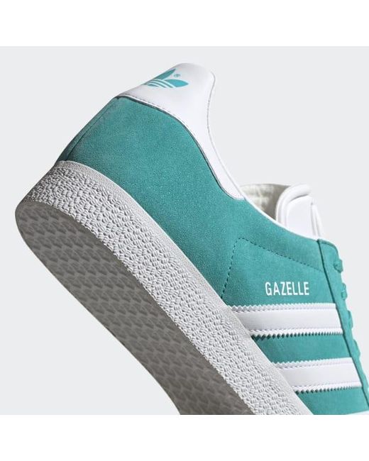 gazelle turquoise
