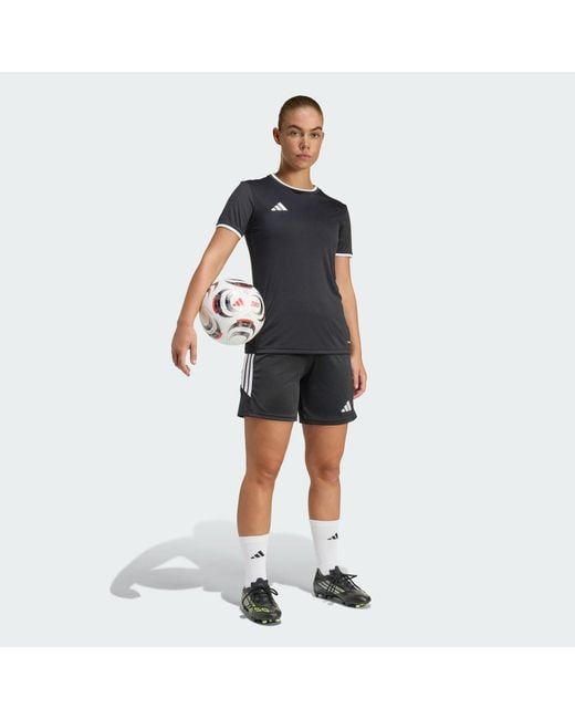 Adidas Blue Tiro 26 League Shorts