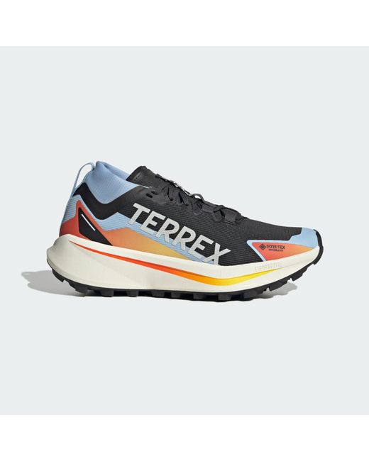 Adidas Blue Terrex Agravic Gtx Trail Running Shoes