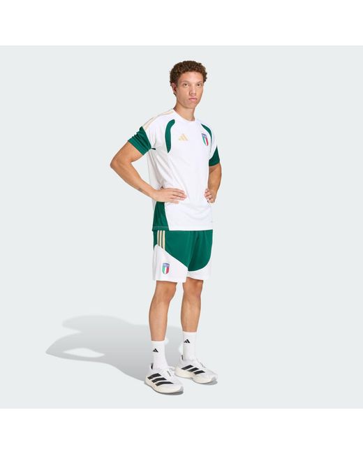 Adidas Green Italy 26 Tiro Training Shorts for men