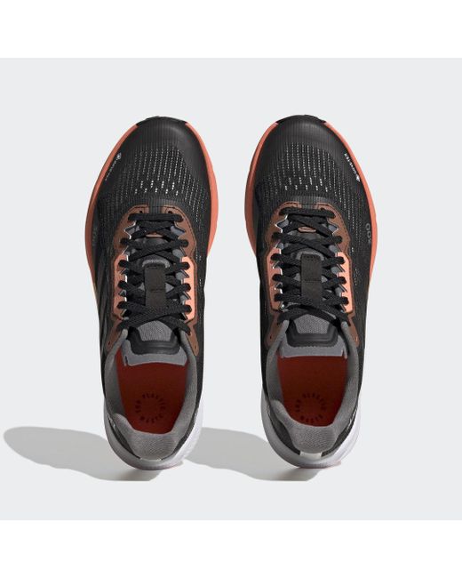 Adidas Blue Terrex Agravic Flow 2.0 Gore-tex Trail