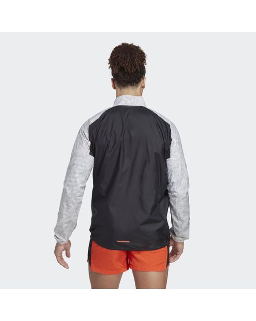 Terrex Trail di Adidas Originals in Gray da Uomo