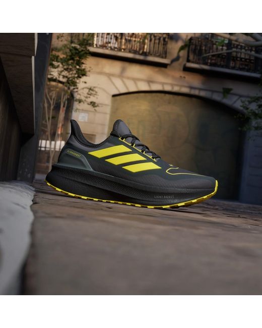 Adidas Green Ultraboost Gtx for men