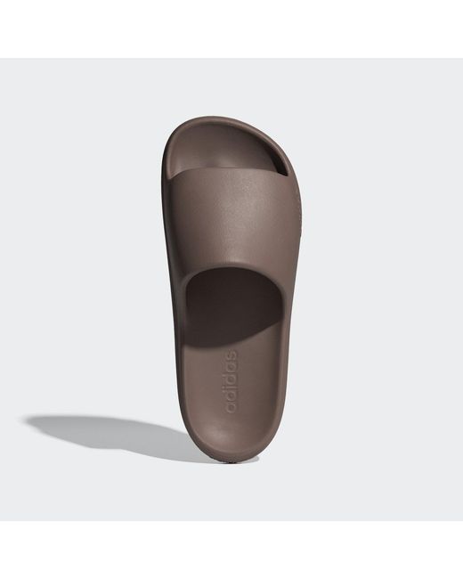 Adidas Brown Adilette Lumia Slides
