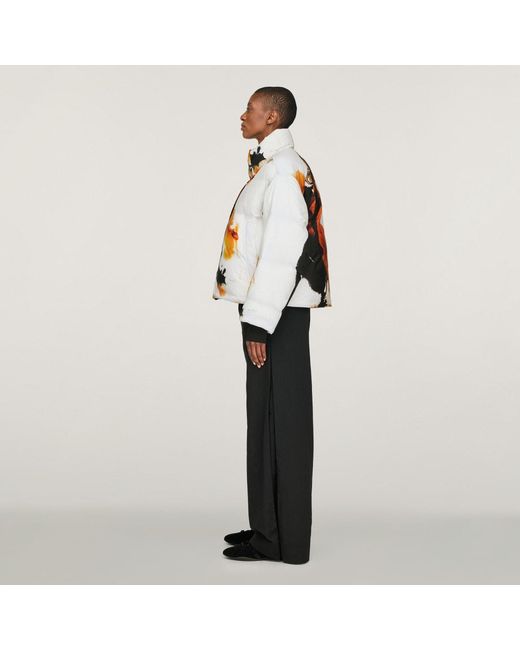 Adidas Black Y-3 Aop Puffer Jacket