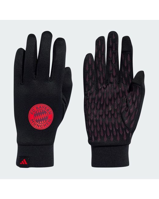 Adidas Blue Fc Bayern Home Fieldplayer Gloves