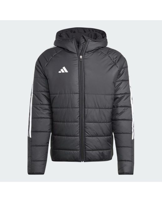 Adidas Gray Tiro 24 Winter Jacket for men