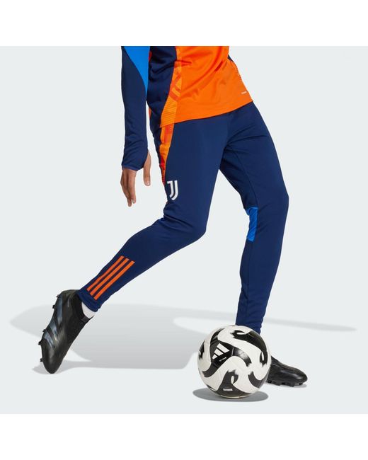Adidas Blue Juventus Tiro 24 Competition Training Pants for men
