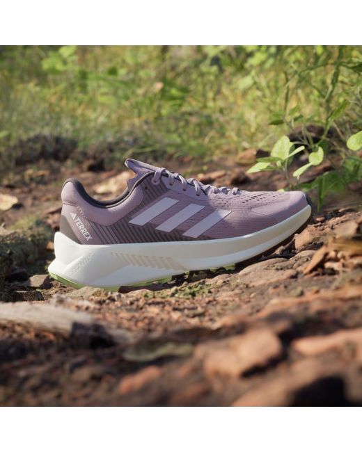 Scarpe da trail running Terrex Soulstride Flow di Adidas in Purple