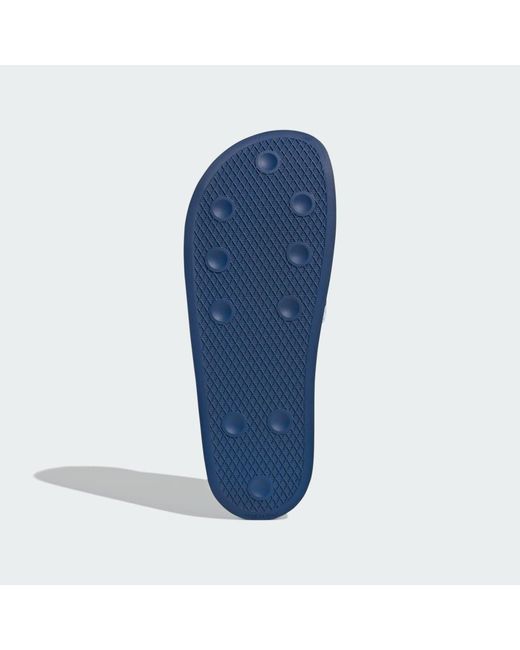 Adidas Blue Trefoil Slide