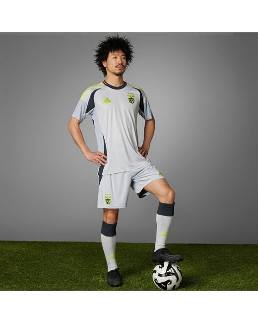 Adidas Gray Benfica 24/25 Third Jersey for men