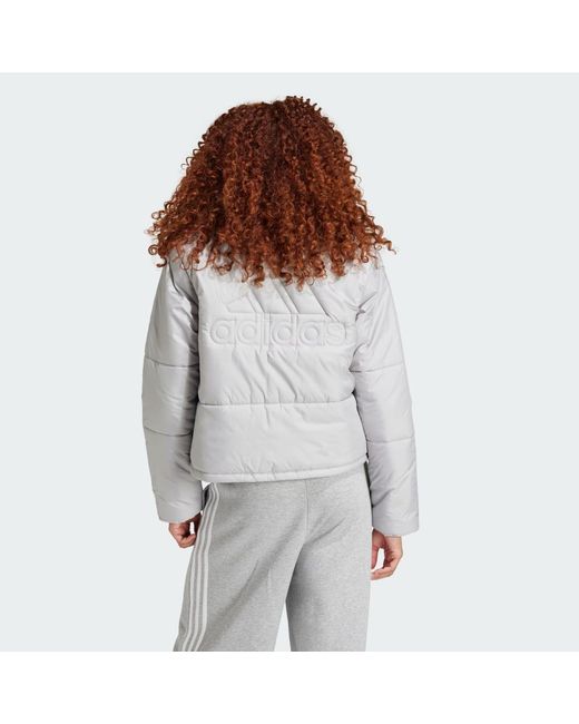 Adidas Gray Bsc Insulated Jacket
