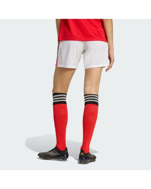 Adidas Red Benfica 25/26 Home Shorts