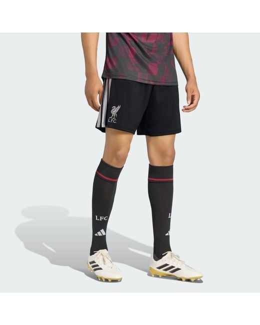 Adidas Black Liverpool Fc 26/27 Third Shorts for men