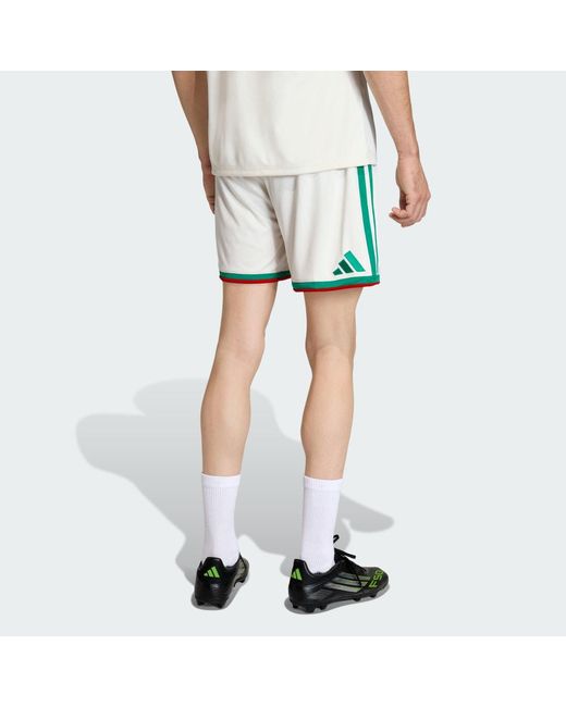 Adidas White Algeria 26 Home Shorts for men