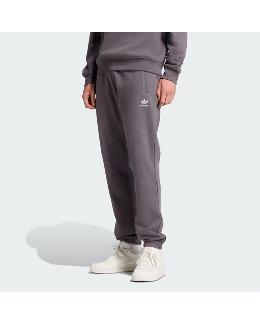 Adidas Gray Trefoil Essentials Pants for men