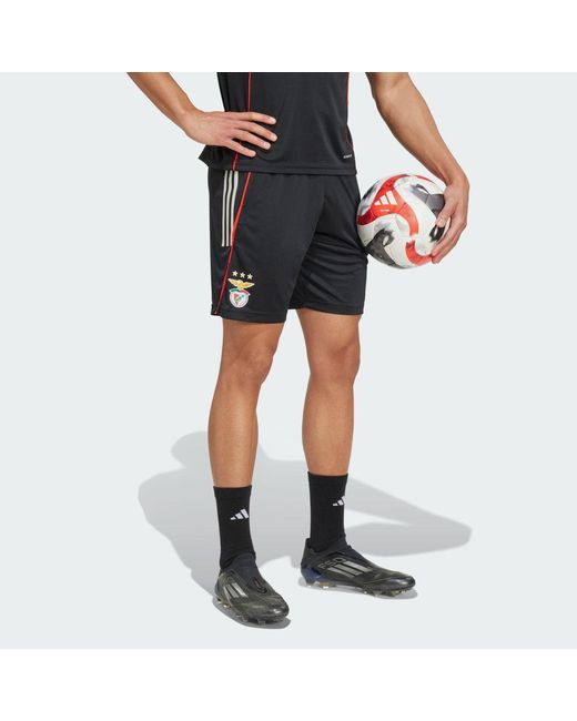 Adidas Blue Benfica Tiro 25 Competition Training Shorts for men