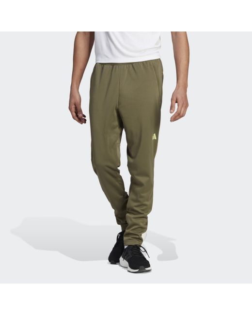 Adidas Green Train Essentials Seasonal Woven Training Joggers for men