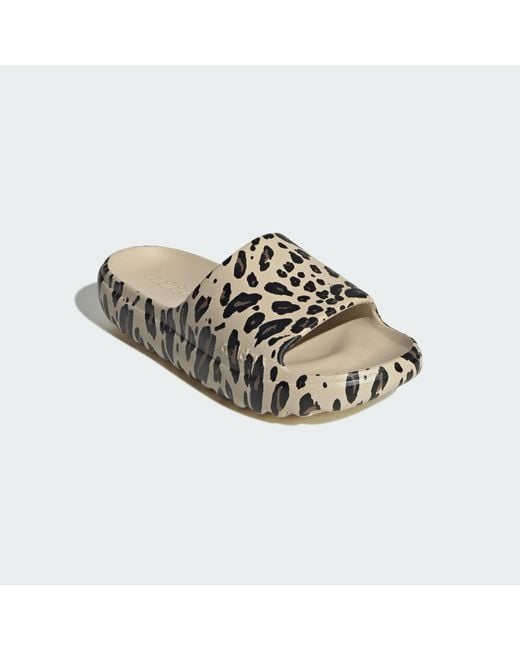 Adidas Multicolor Adilette Lumia Slides