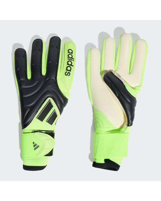 Guanti Copa Pro Portiere di Adidas in Green