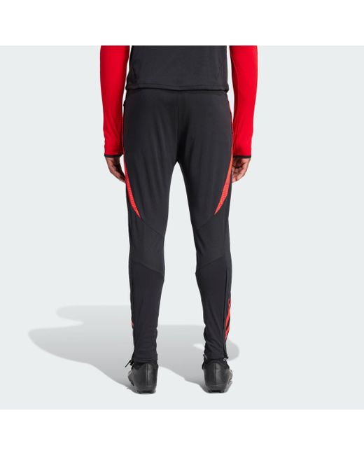 Pantaloni da allenamento Tiro 24 Competition Belgium di Adidas in Red da Uomo