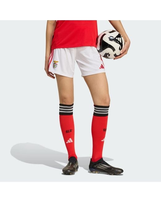 Adidas Red Benfica 25/26 Home Shorts