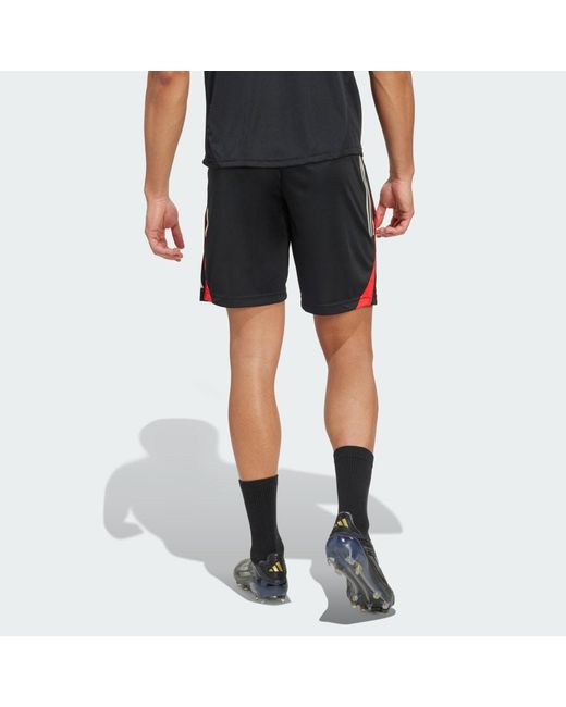 Adidas Blue Benfica Tiro 25 Competition Training Shorts for men