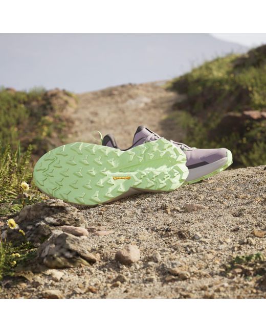 Adidas Green Terrex Trailmaker 2.0 Gore-tex Hiking Shoes