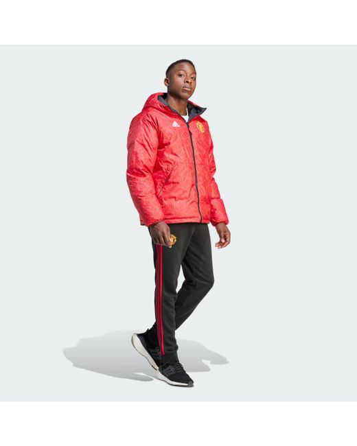 Adidas Red Manchester United Dna Down Jacket for men