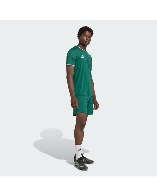 Adidas Green Entrada26 Shorts for men