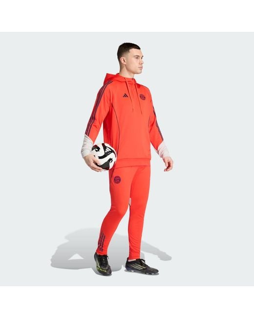 Adidas Red Fc Bayern 25/26 Sweat Hoodie for men