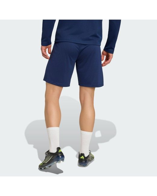 Adidas Blue Entrada26 Training Shorts for men