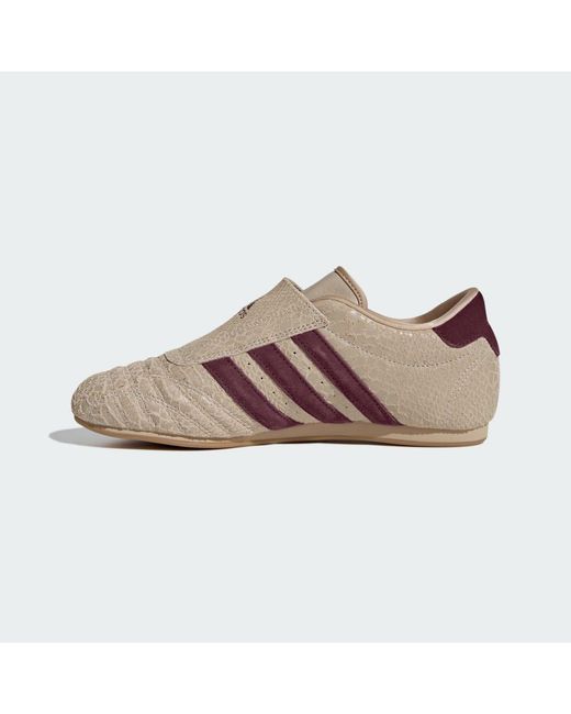 Adidas Brown Taekwondo Shoes