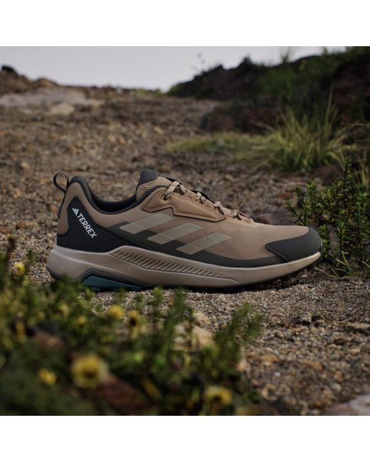 Adidas Green Terrex Anylander Hiking Shoes for men
