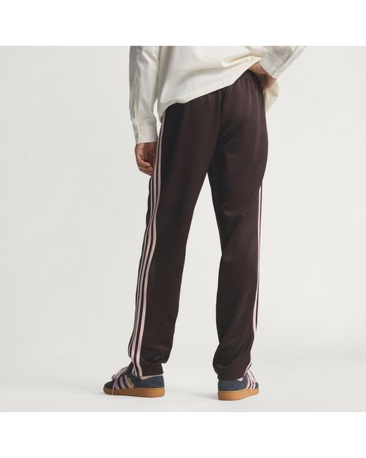 Adidas Brown Regular Tracksuit Bottoms for men