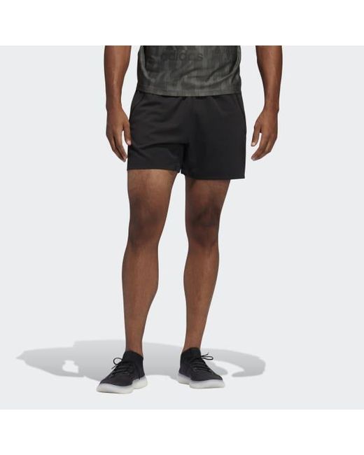 black and gold adidas shorts