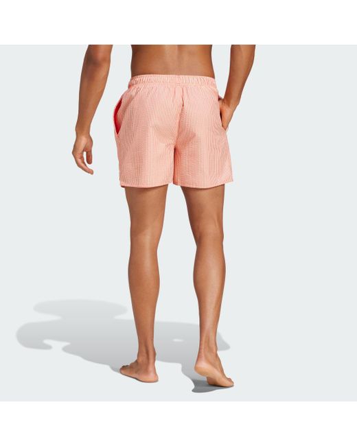 Adidas Pink Stripey Classics Swim Shorts Short Length for men
