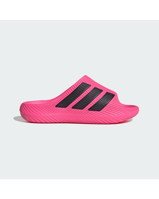 Adidas Pink Purechill Slides for men