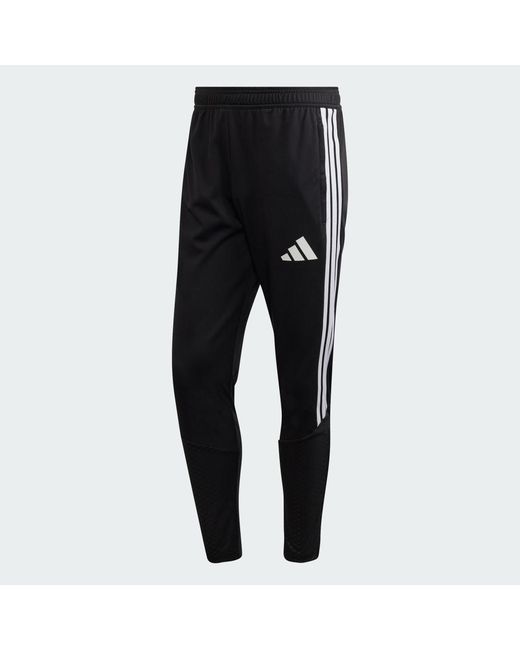 Adidas Blue Tiro 26 Competition Training Pants for men