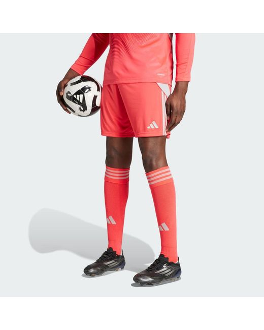 Adidas Red Tiro 24 Shorts for men