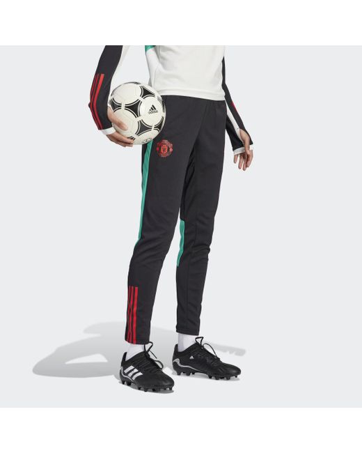 Pantaloni da allenamento Tiro 23 Manchester United FC di Adidas in Black