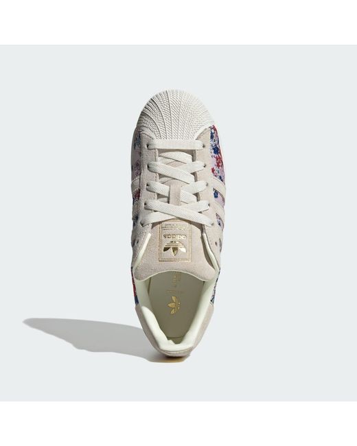 Adidas Blue Superstar Shoes