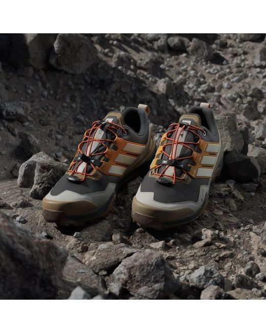 Adidas Multicolor Terrex Skychaser Gore-Tex Hiking Shoes for men