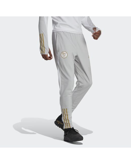 Pantaloni da allenamento Tiro 23 Algeria di Adidas in Gray da Uomo